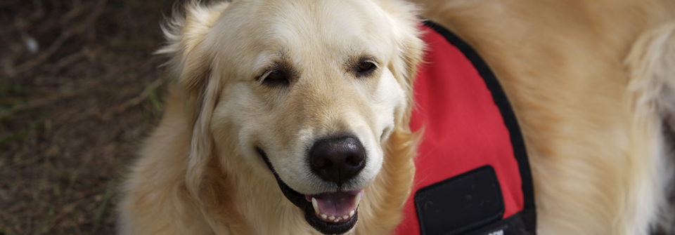 ペットクリニックオザワ・系列病院岐阜あかなべ動物病院