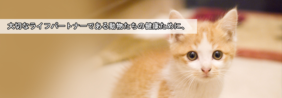 ペットクリニックオザワ・系列病院岐阜あかなべ動物病院