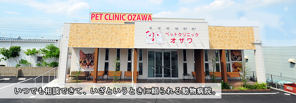 ペットクリニックオザワ・系列病院岐阜あかなべ動物病院