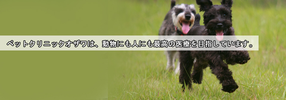 ペットクリニックオザワ・系列病院岐阜あかなべ動物病院